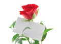 Single red rose with blank love note