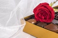 Single Red Rose, a Box of Gourmet Chocolates on White Tulle Fabric Background Royalty Free Stock Photo