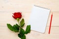 Single red rose with clear notepad on table