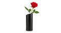 Single red rose in a modern black vase Royalty Free Stock Photo