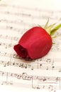 Single red rose on musical notes page