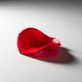 Single red rose petal rests on a smooth, light gray surface, Royalty Free Stock Photo