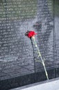 Single red rose on a rainy day leaning against Vietnam memorial