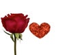 A single red rose with red color heart love shape. Royalty Free Stock Photo