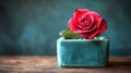Single Red Rose in Teal Box on Rustic Wood Royalty Free Stock Photo