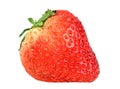 Single red strawberry Royalty Free Stock Photo