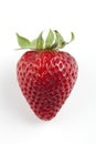 Single Red Strawberry Royalty Free Stock Photo