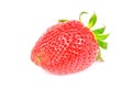 single red strawberry Royalty Free Stock Photo