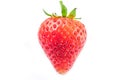 Single red strawberry Royalty Free Stock Photo