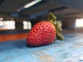 A Single Red Strawberry Sitting on a Blue Shelf Royalty Free Stock Photo