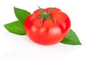 Single red tomato and green leaves isolated on white Royalty Free Stock Photo