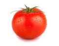 Single red tomato with water drops Royalty Free Stock Photo