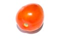 Single red tomato on white background. Fresh red tomato closeup. Royalty Free Stock Photo