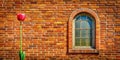 A single red tulip stands tall against a rustic brick wall featuring an arched window. Generative AI Royalty Free Stock Photo