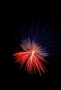 Single red, white, and blue firework against a black sky Royalty Free Stock Photo