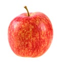 Single a red-yellow apple Royalty Free Stock Photo