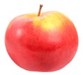 Single a red-yellow apple Royalty Free Stock Photo