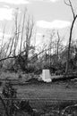 Hurricane Damaged Yard Royalty Free Stock Photo