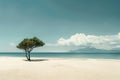 A single, resilient pine tree stands alone on a vast, unspoiled sandy beach against a tranquil sea backdrop Royalty Free Stock Photo