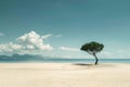 A single, resilient pine tree stands alone on a vast, unspoiled sandy beach against a tranquil sea backdrop Royalty Free Stock Photo