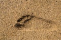 Single right foot print in sand Royalty Free Stock Photo