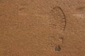 Single Right Shoe Print In Damp Sand