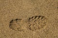 Single right shoe print in sand Royalty Free Stock Photo