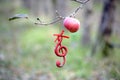 Single ripe apple on a tree