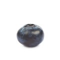 Single ripe bilberry isolated