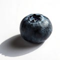 Single ripe blueberry with a prominent crown on a white surface fruit dark Royalty Free Stock Photo