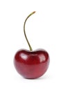 Single ripe cherry berry Royalty Free Stock Photo