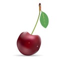 Single Ripe Cherry Berry With Leaf Isolated On A White Background. Royalty Free Stock Photo