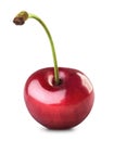 Single ripe cherry Royalty Free Stock Photo