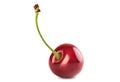 Single ripe cherry