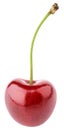 Single ripe cherry isolated on white Royalty Free Stock Photo