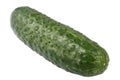 Single ripe green cucumber isolated on a white Royalty Free Stock Photo