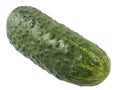 Single ripe green cucumber isolated on a white Royalty Free Stock Photo