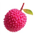 Vibrant Pink Lychee Fruit with Stem and Leaf Isolated on White Studio Background Royalty Free Stock Photo