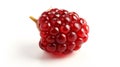 Single ripe mulberry fruit isolated on a white background Royalty Free Stock Photo