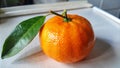A single, ripe orange mandarin with a green leaf on a white countertop Royalty Free Stock Photo