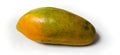 single papaya on a white background