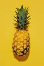 A single ripe pineapple on a vibrant yellow background Royalty Free Stock Photo