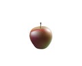 Single ripe red apple fruit isolated on white background. Royalty Free Stock Photo