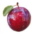 Single Red Plum with Green Leaf and Stem Low Poly Art Isolated on White Background Royalty Free Stock Photo