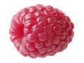 A single ripe red raspberry isolated on white background Royalty Free Stock Photo