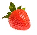 Single ripe strawberry Royalty Free Stock Photo