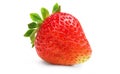 Single ripe strawberry Royalty Free Stock Photo