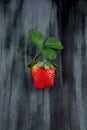 Single ripe strawberry on a napkin and wooden plate kitchen table Royalty Free Stock Photo