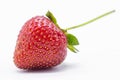 Single ripe strawberry on white Royalty Free Stock Photo