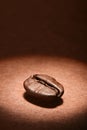 Rosated coffee bean on brown background Royalty Free Stock Photo
